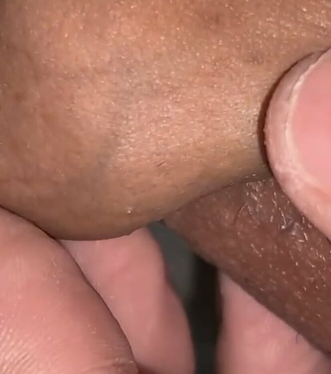 5AF7CAA1-DED8-4500-B0EC-E8753CF21337.jpeg