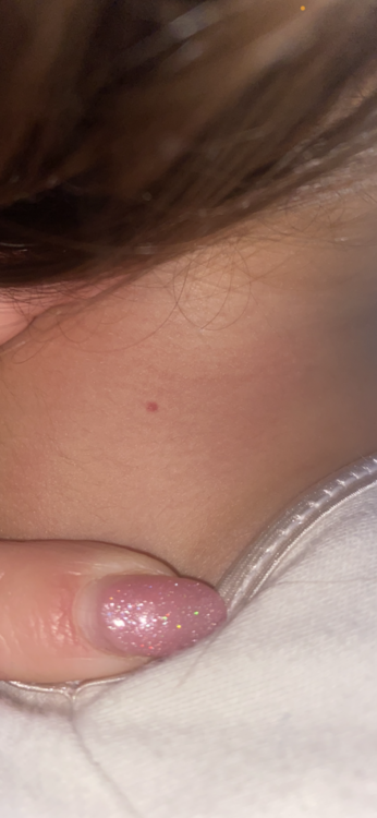 74BD7A17-9446-4AEF-925E-02929B631967.thumb.png.6a7ef1e2ab3e2f2a8b2cfcf544b9f95b.png