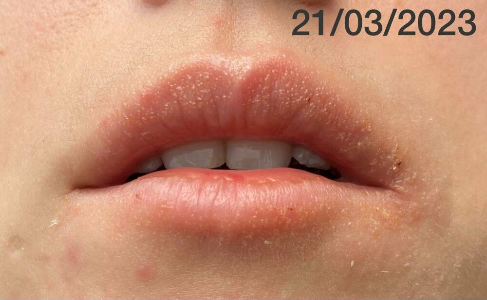 WhatsApp Image 2023-03-21 at 11.07.51.jpeg