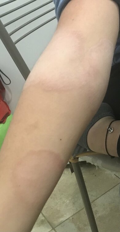 B212057B-D9ED-408C-BB37-18C598E3711D.thumb.jpeg.a7f37d779429135600924a99bd5b3898.jpeg