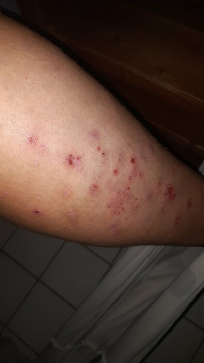 IMG-20220928-WA0042.jpeg