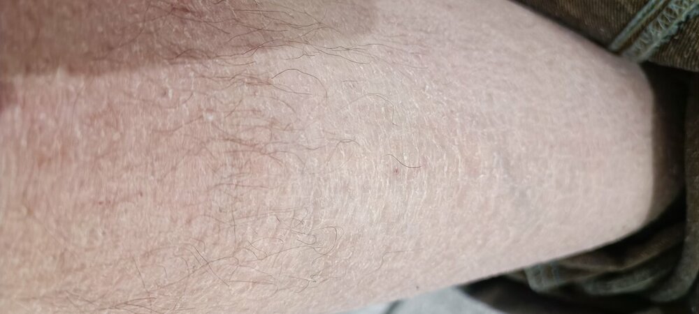 IMG_20230317_162553.jpg