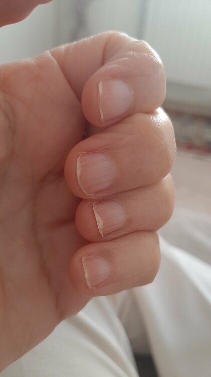 16824436065333555047009768789693.thumb.jpg.cc19b5473c3ded7b1a6132d9e1780792.jpg