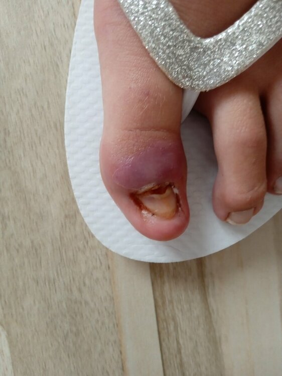 16826052887602927306659003988502.thumb.jpg.1842e589625f4e88a654e136316c7855.jpg