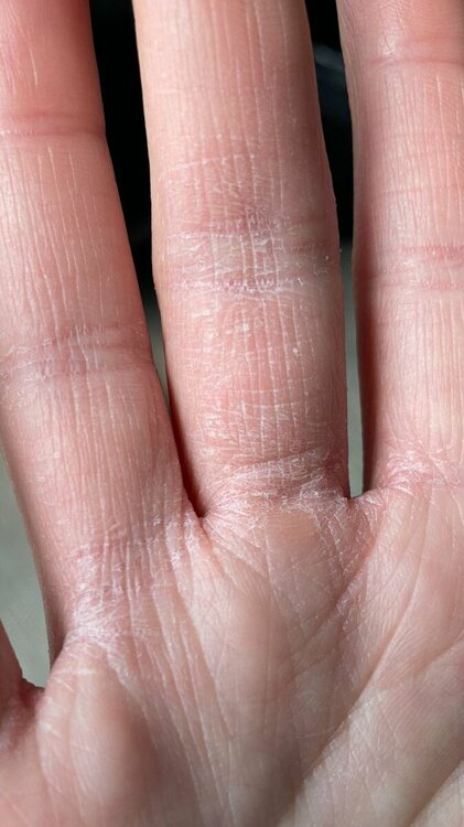 WhatsApp Image 2023-04-19 at 14.22.44.jpeg