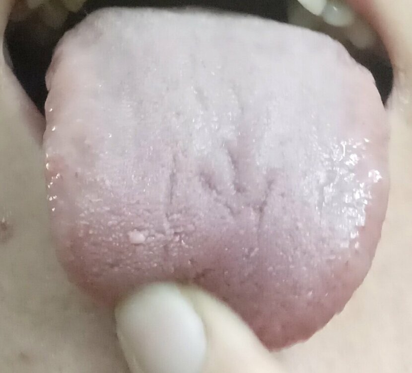 20230415_101932.jpg