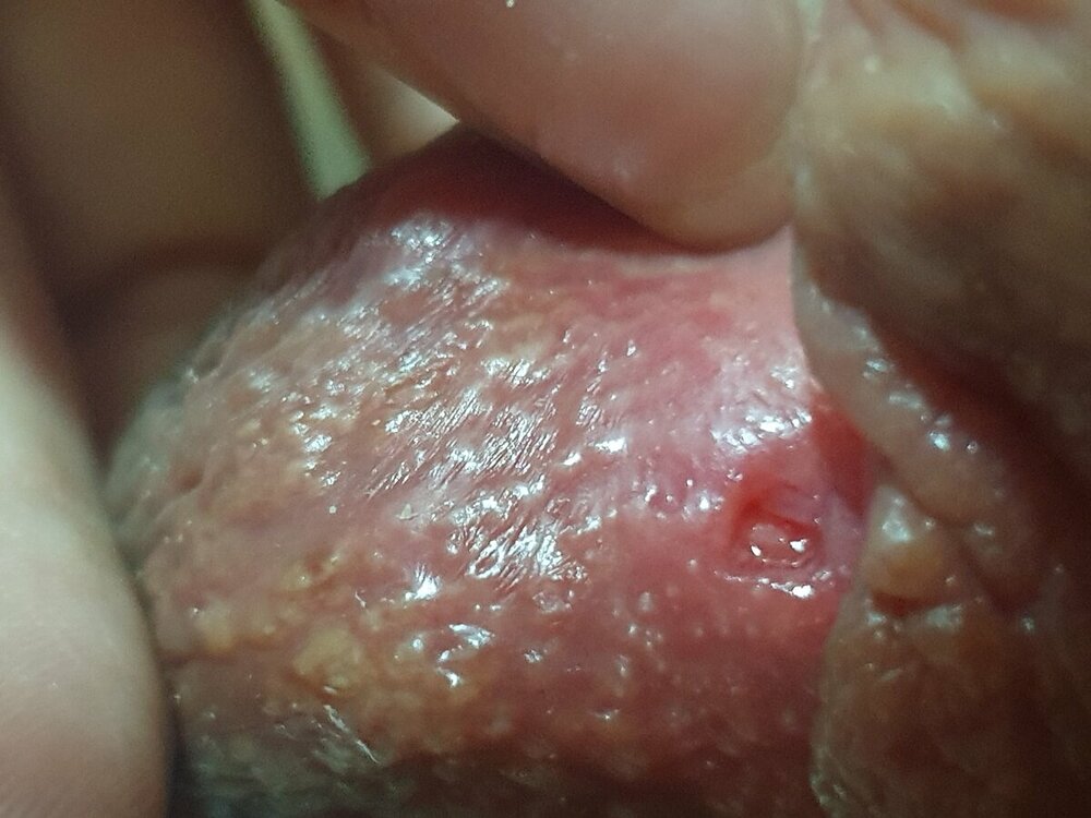 20230415_180918.jpg