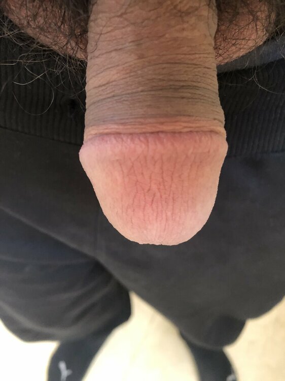 6487DF79-299F-4156-9FDC-D2B79C79C968.thumb.jpeg.65c69b852912f90b47b1db9f2ba9a65c.jpeg