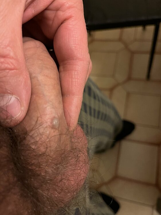 E4FB1217-7058-432F-AC82-0C25583063DD.jpeg