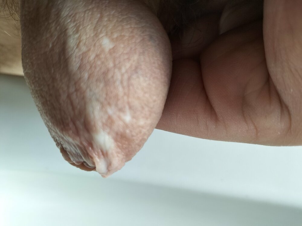 IMG20230416161235.jpg