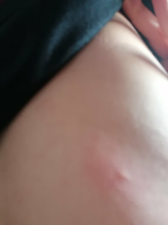 IMG_20230331_091321_1.thumb.jpg.cc26cd179bcf460d6205f2be9decf979.jpg