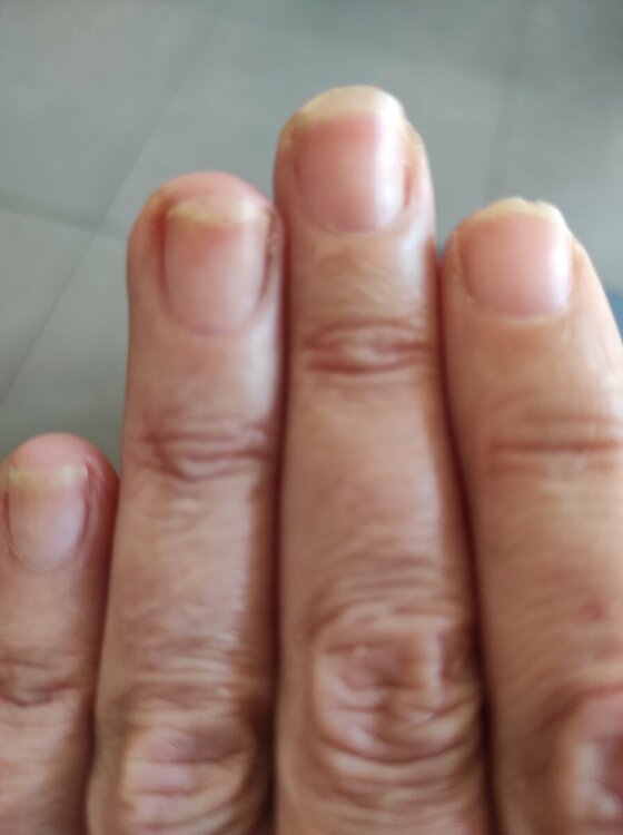 IMG_20230411_180251.thumb.jpg.01b34338806fc3e02907aada88f6978a.jpg