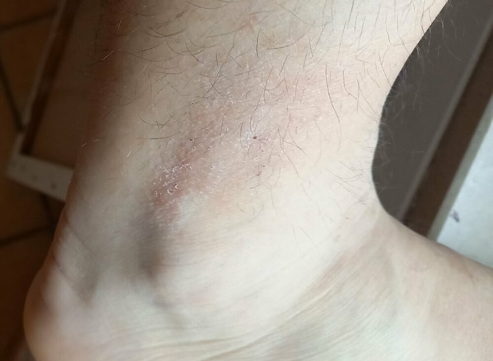 foto 4.jpg