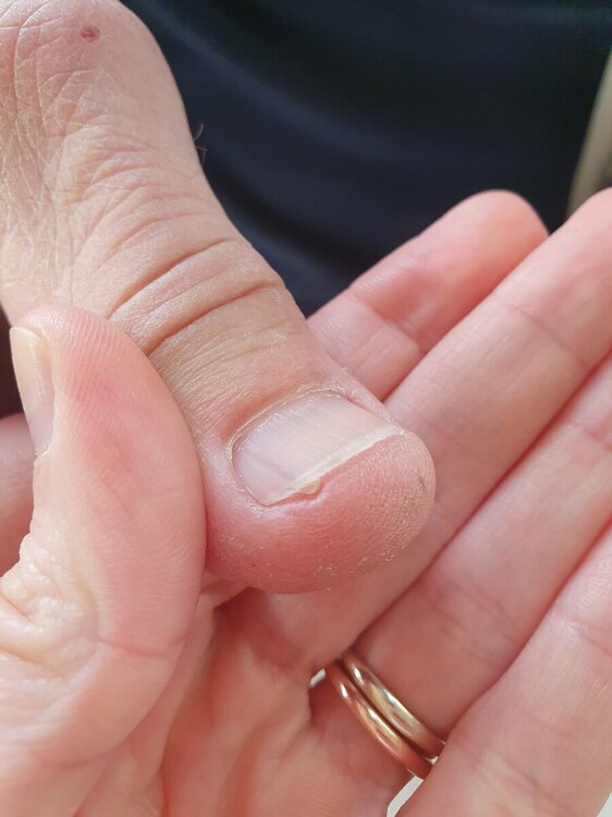 20230503_190812.jpg