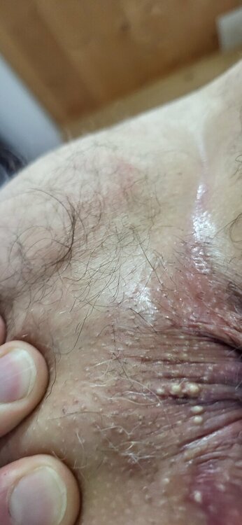 20230507_104705.thumb.jpg.aaafc9bc89b2d6a4dc6931480a65b57c.jpg