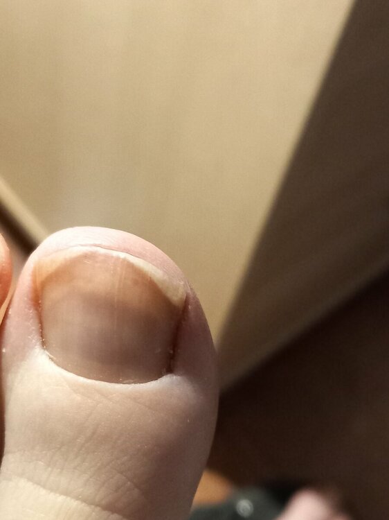 20230519_145505.jpg