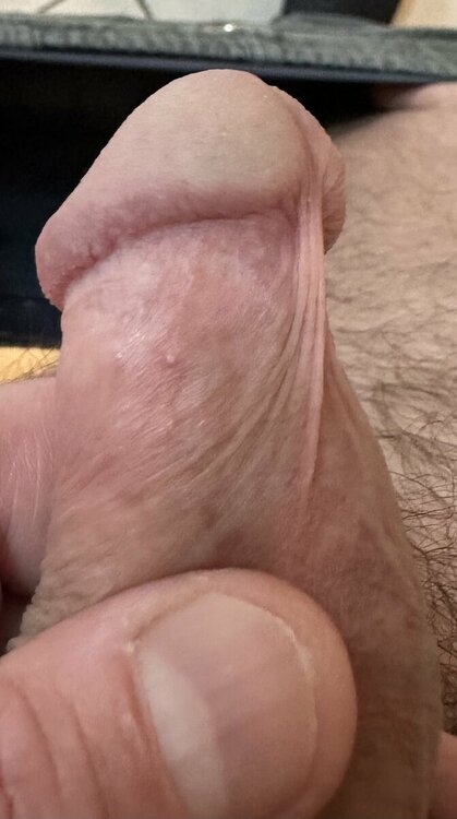 3F27FB77-FDE5-44C3-ABC8-73CF65E86FA7.jpeg