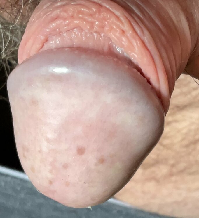 FBB9BB37-470F-481B-A551-BE855B0AF8FC.thumb.jpeg.ec8a76d671748cdaef30ac9cf5859b4c.jpeg