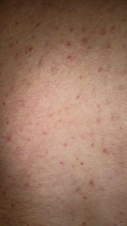 IMG20230518011706.jpg