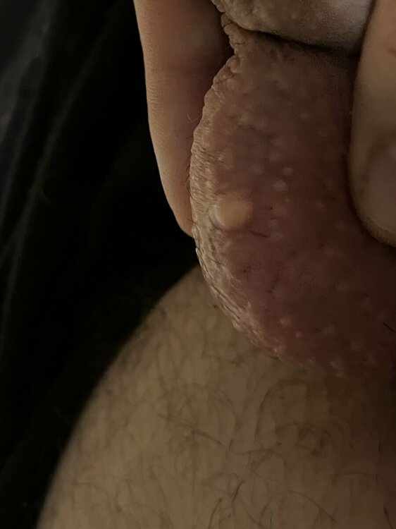IMG_0303.jpeg