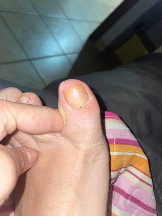 IMG_0392.thumb.jpeg.e7bb38eae7487fb644a93599336693d7.jpeg