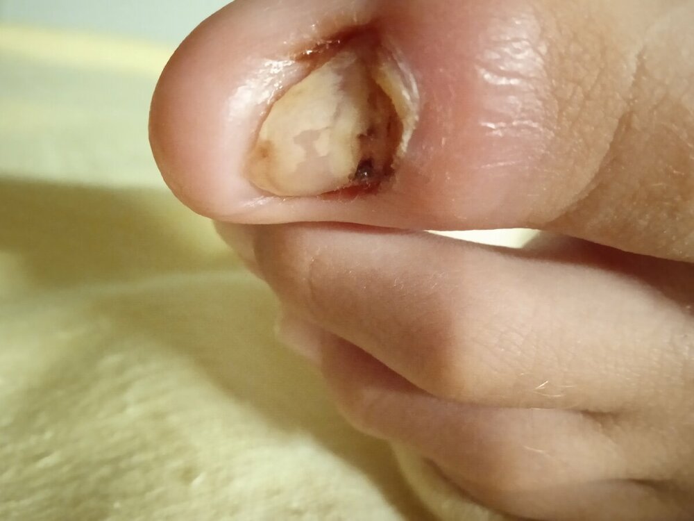 IMG_20230505_052529.thumb.jpg.42151aa078e82bec4521c35b69c49a40.jpg