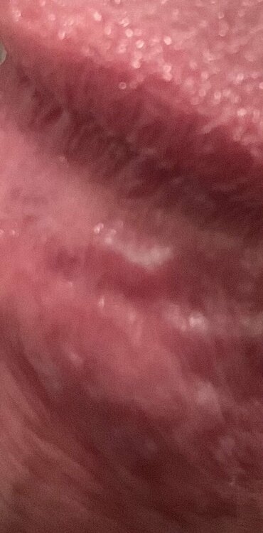 IMG_4589.thumb.jpeg.4b0fe8c4ce32ca286466f9927eb84351.jpeg