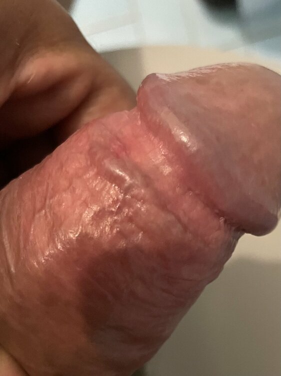 IMG_6340.jpeg