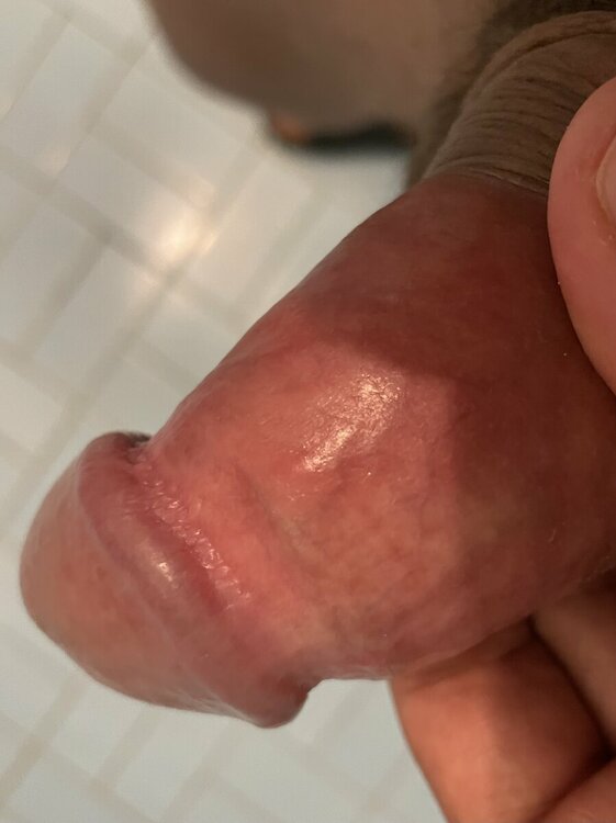 IMG_6342.jpeg