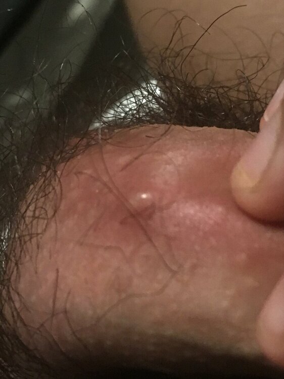 image.jpg