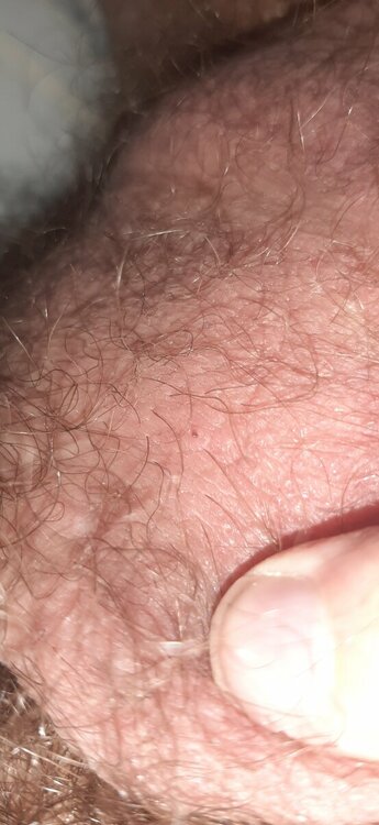 20230606_174519.jpg