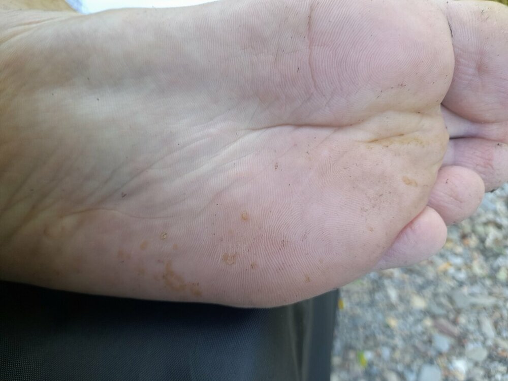 20230623_112643.jpg