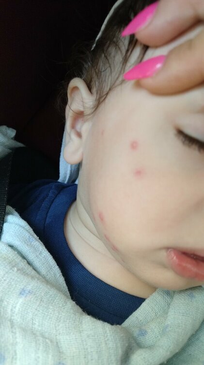 IMG-20230617-WA0012.jpeg