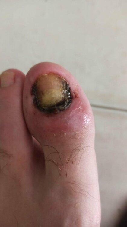 e9977c43-660e-4f2a-a341-44beef14fb80.thumb.jpg.4e8f64f11c88439137f2a34737fb79da.jpg