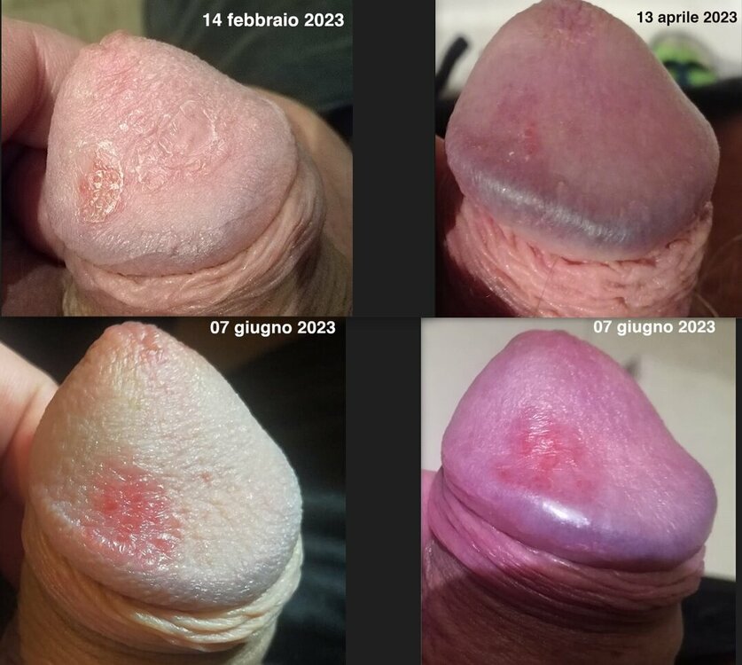 quadro_generale.jpg