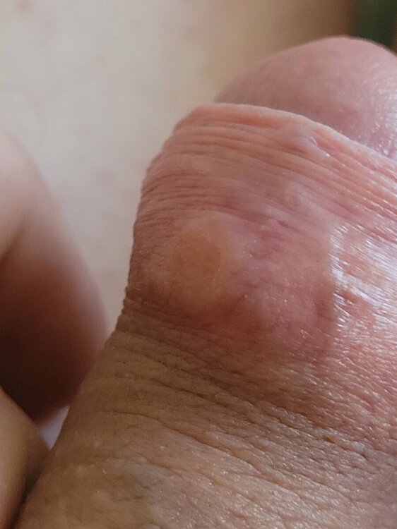16883155128157736748739031061847.thumb.jpg.70f9913401d4479122d6917f14c6186f.jpg