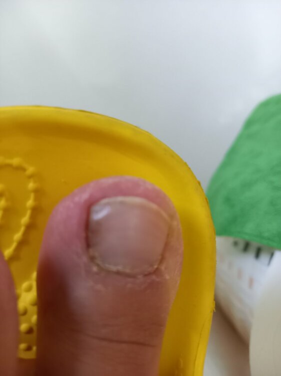 20230717_190953.jpg