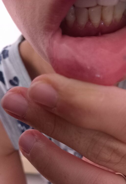 20230718_160153.thumb.jpg.4b1fd1dbb1565109e540439e7f3b7b43.jpg