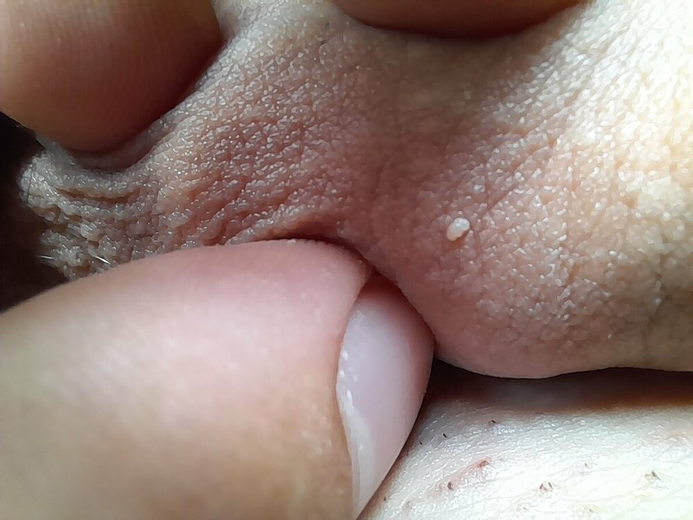 20230722_145122.jpg