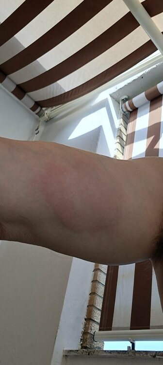 20230722_162718.thumb.jpg.1f6c4f5331bed77a930a868c1ec84a6b.jpg