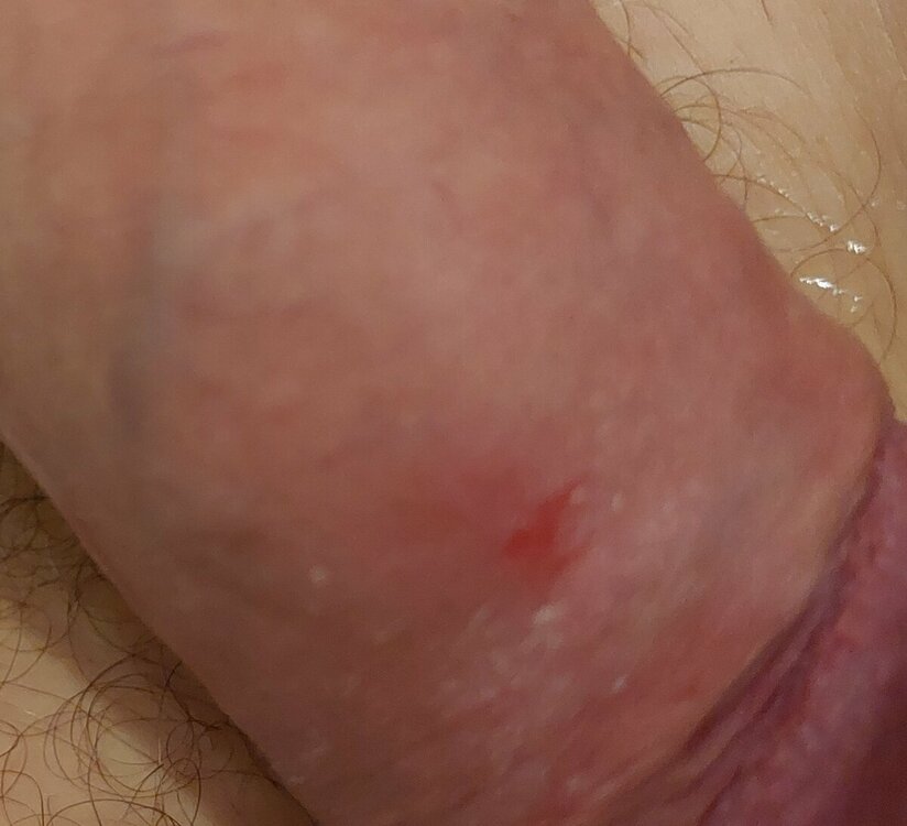 20230722_200843.jpg