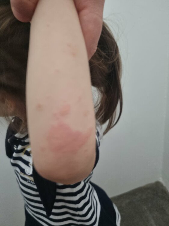 20230727_123131.jpg