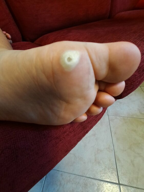 20230729_113316.jpg