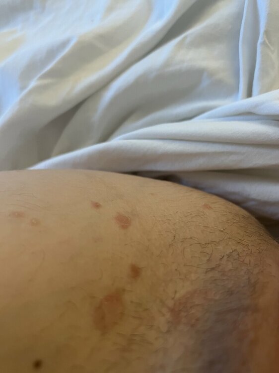 AF1D29A8-99D4-42A9-8431-EEEA98E62F90.thumb.jpeg.eb4d04eb2d923ebaad2d3e0d595cdbc9.jpeg