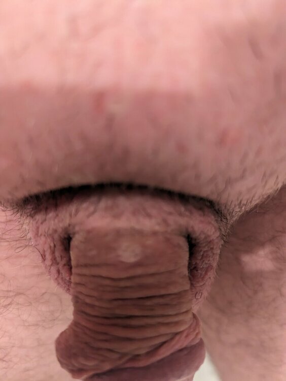 Foto1.jpg