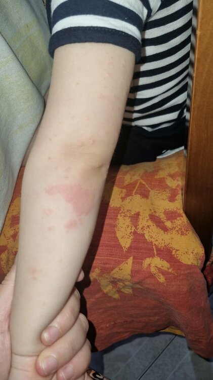 IMG-20230727-WA0040.jpeg