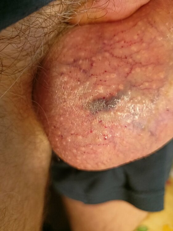 IMG20230716120107.jpg