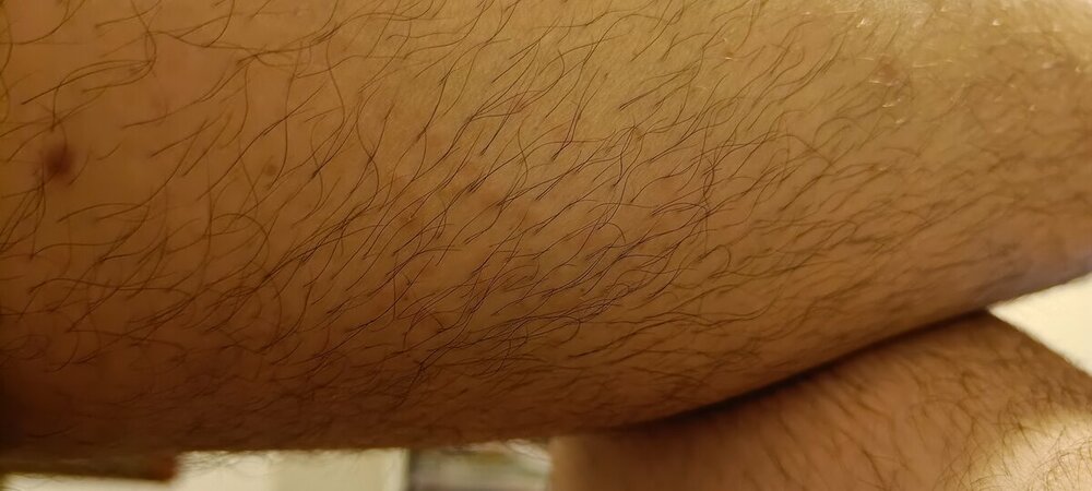IMG20230728205422.jpg