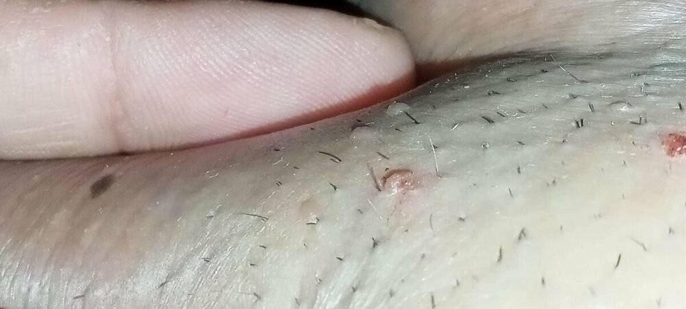 IMG20230731042637.jpg