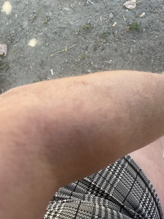 IMG_0696.jpeg